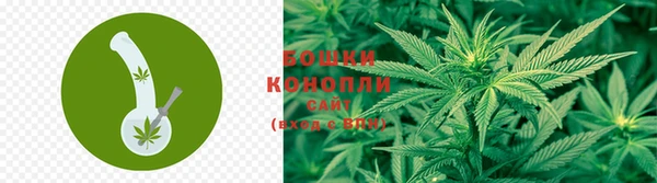 прущая мука Ельня