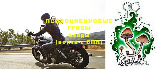 спиды Елизово