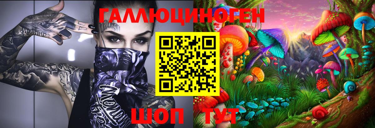 Галлюциногенные грибы Psilocybine cubensis Протвино