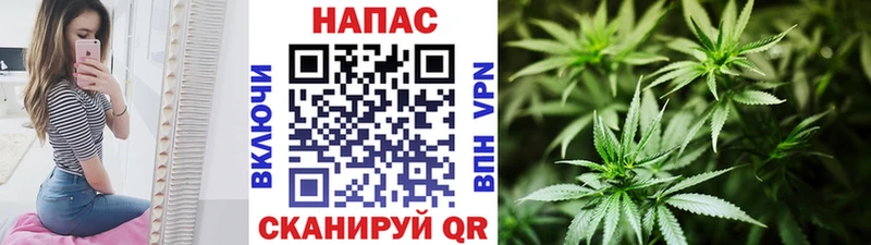Шишки марихуана SATIVA & INDICA  наркошоп  Протвино 